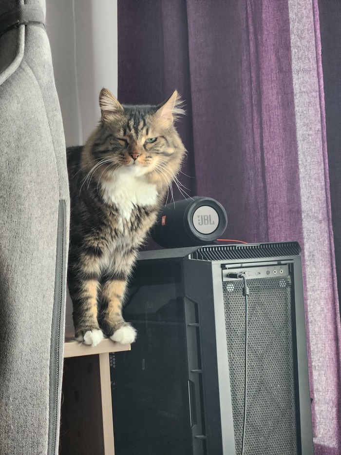 ���������� ������� #195