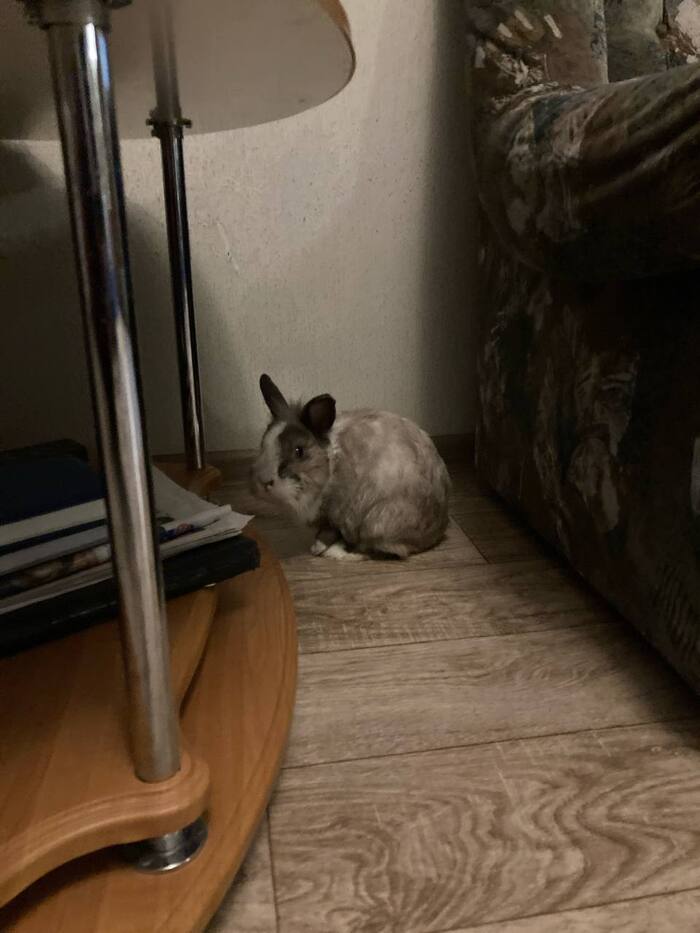 � ���� ����� �������� ��������, � ������ ����.