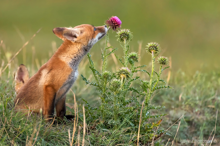 �������������� ������