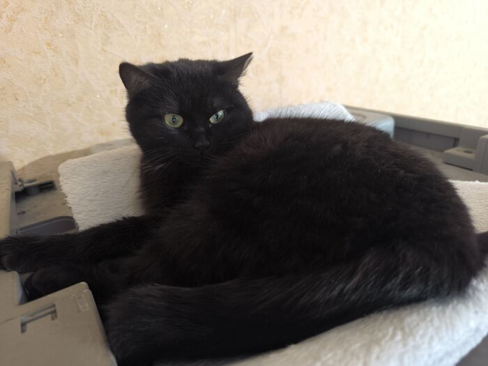 ��� ����� ���� ������ �� �����. ��������� ��� ��� ����������� ������� ������. 