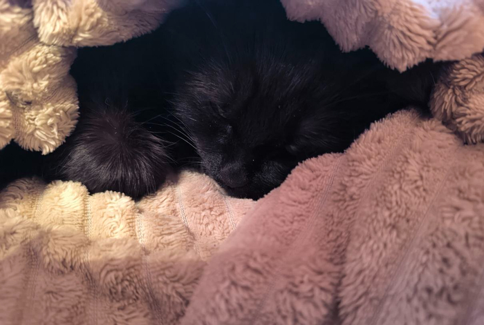 ���������� �����