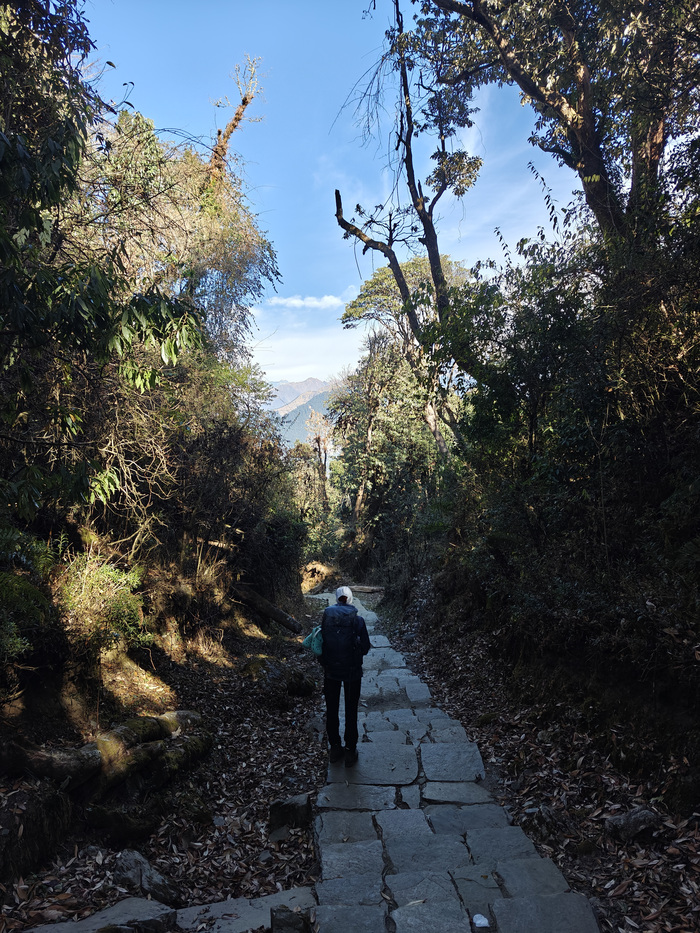 ������ ����� � Swanta