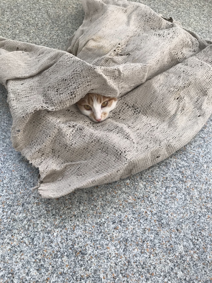 "��� ����� ��������"