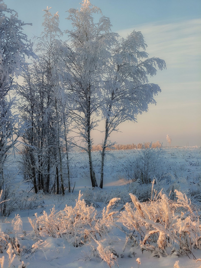 ����: �������� <a href="https://pikabu.ru/story/nezhnyie_kraski_zimyi_13674751?u=https%3A%2F%2Frtraveler.ru%2Fphoto%2F1481097%2F%3Fnew_photos%3D1&t=%D0%BE%D1%82%D1%81%D1%8E%D0%B4%D0%B0&h=109fd90499554b64d87379e3b48491d267b628f9" title="https://rtraveler.ru/photo/1481097/?new_photos=1" target="_blank" rel="nofollow noopener">������</a>