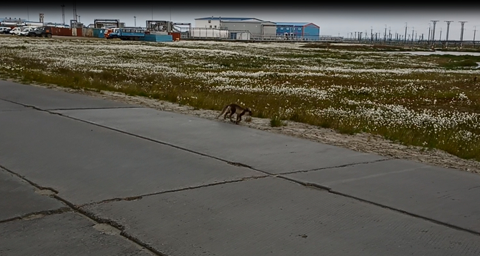 ����. �������. ���� - ������ �������