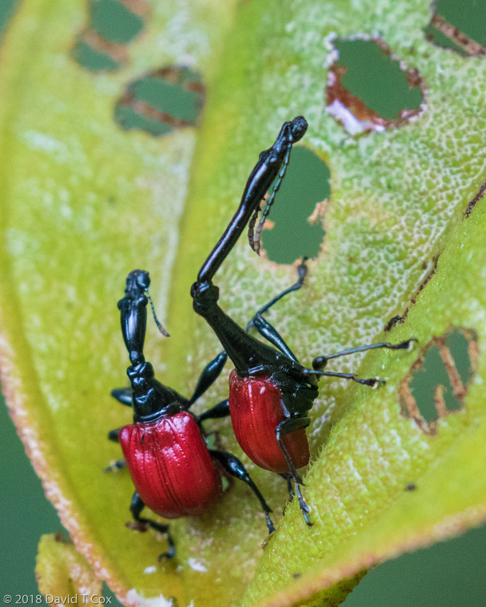 ���-�����. ��� �� � ����� ��� ����� ���?