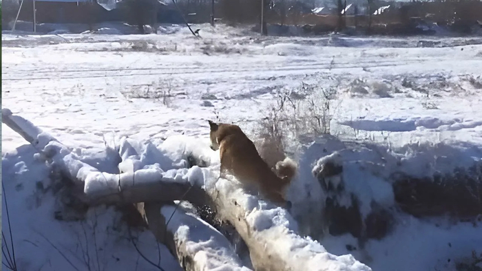 ��� � � ������ � ������� �������� ������� � ������ ������������ ������������ �����