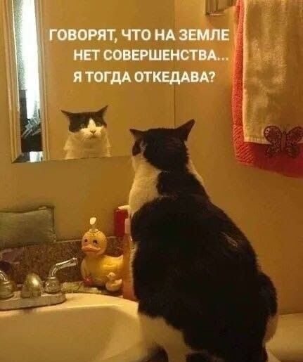 ����� � ����������