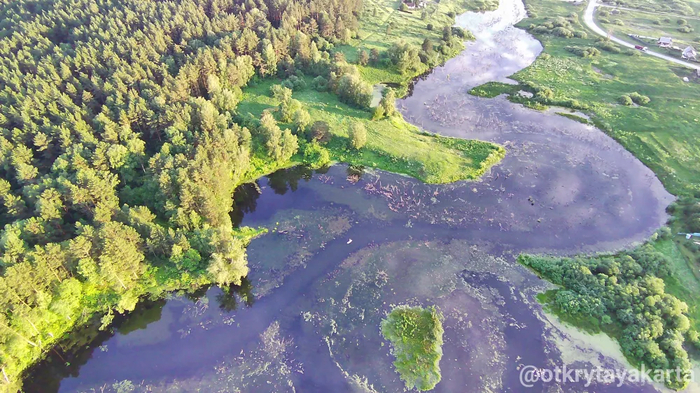 ���� �������