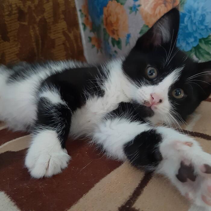 ����� �� ���� �� ���� ������� �� ���� ����