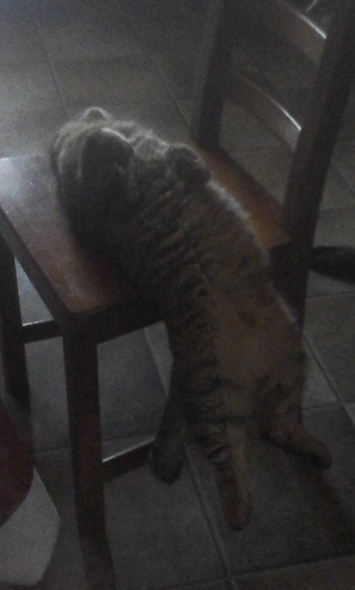 Гравитация? Не, не слышал.