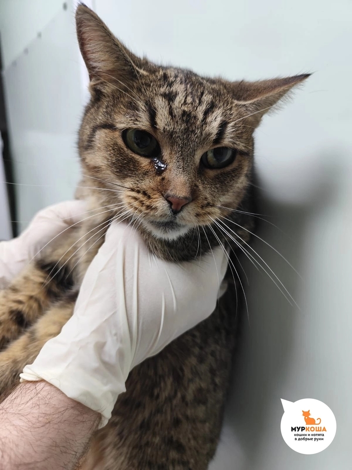 ������� �� ����������� ������� � �������