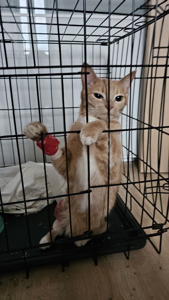 ��� ���, ��� ������ ����� ��