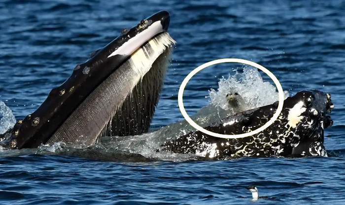 �������� ������, �� �� �����������?