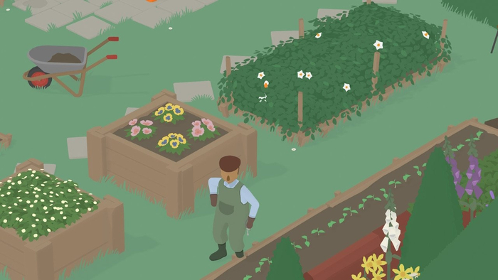 ���� �� ����