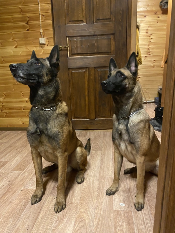 ������� �������� � ������ �� ������))