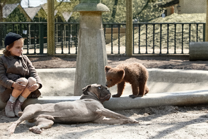 ��������: �������� �������