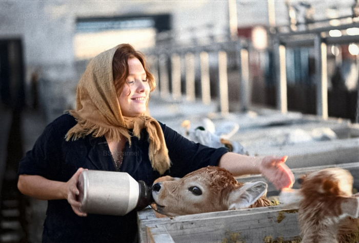 ��������: ������ ������