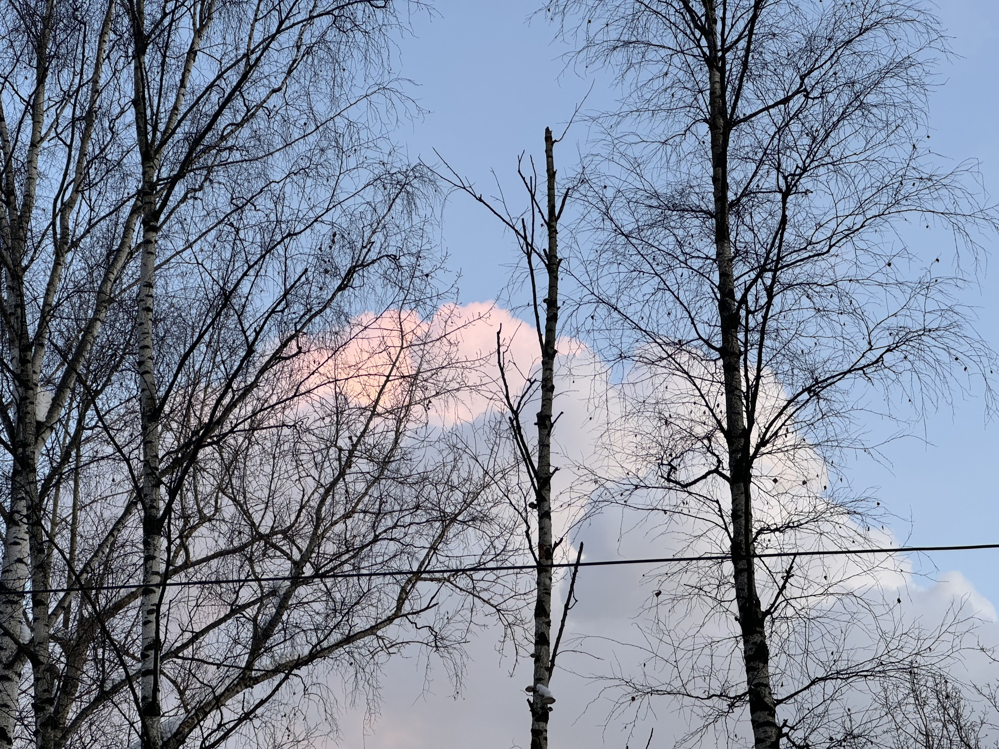Multifaceted Metrogorodok and Bogorodskoye - Series Photographs
, My, Mobile photography, Beginning photographer, Street photography, The photo, Beautiful view, Moscow, Temple, Temple, Peredelkino, City walk, Metrogorodok, Longpost, Elk Island, CHP, Evening, Gallery