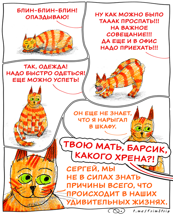 ������ ��������� �� ��� ��� ������ �� ���� �������