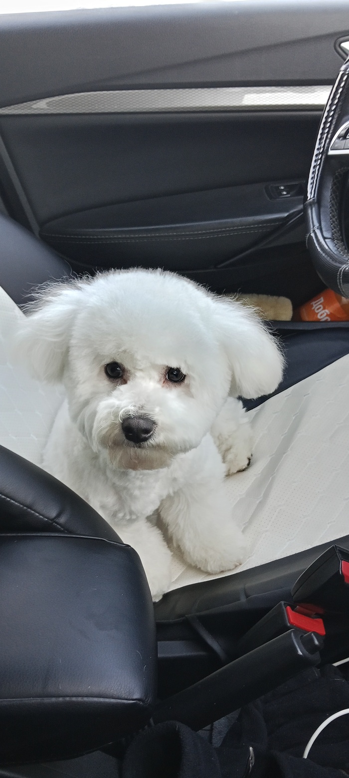 ������� ������ ������