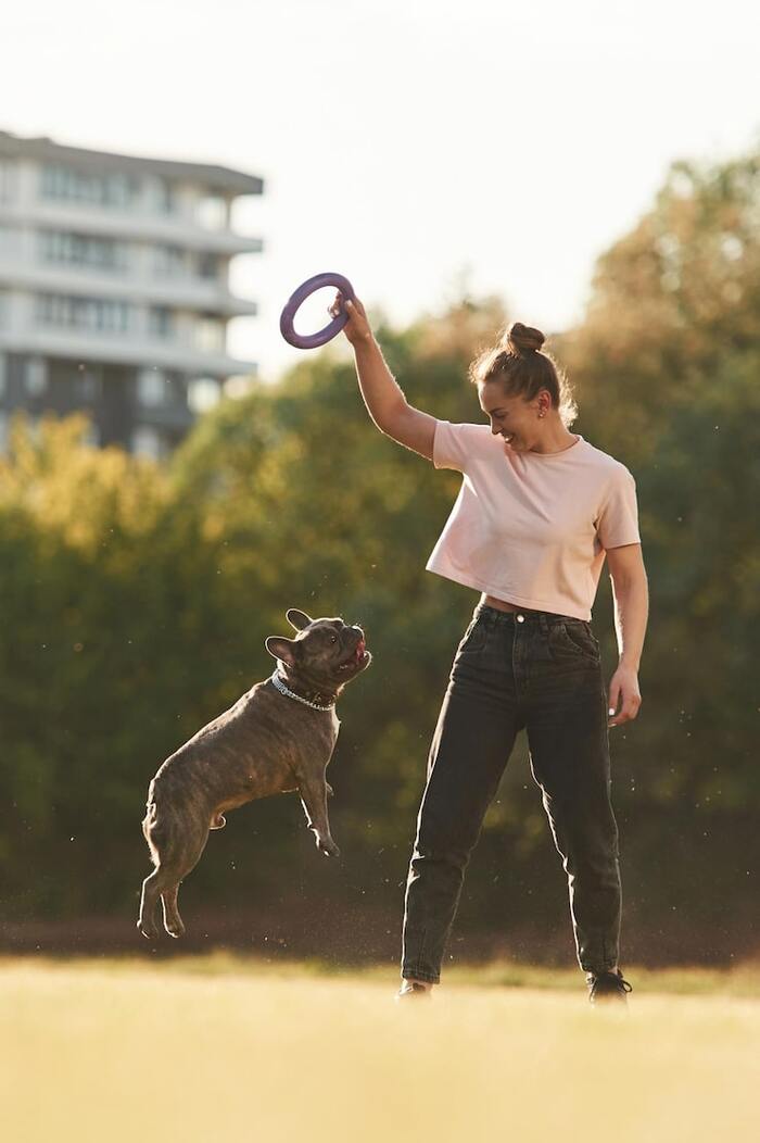 ����� � ������: ��� ��������� ���������� � ������ �����������