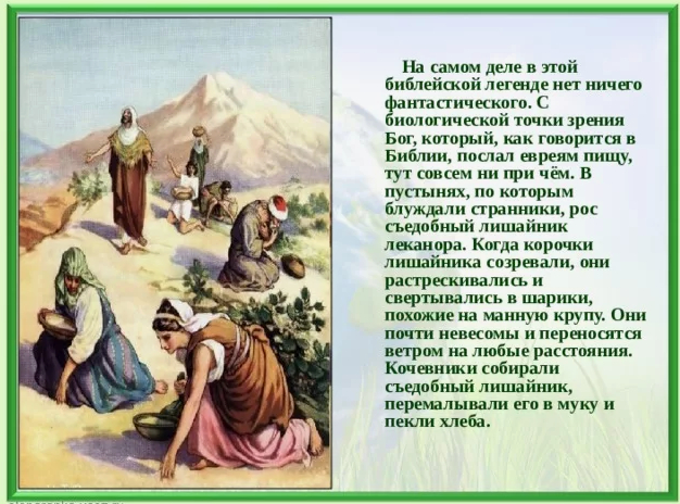 �� ������ ������ ��� ��� �����