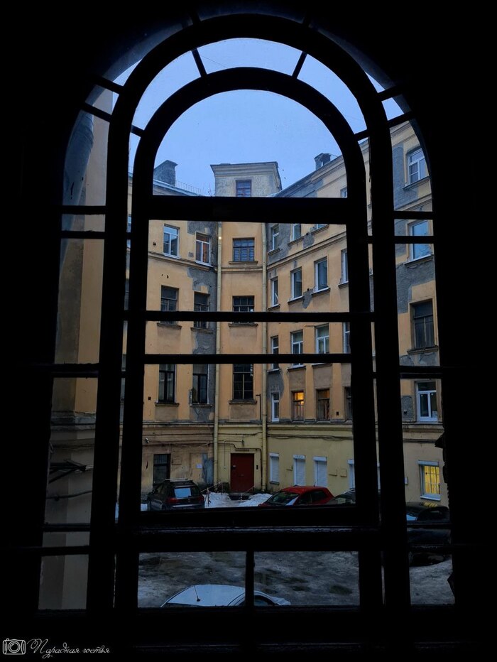 ���� � �������� ���� �����������. ����: �������� ������