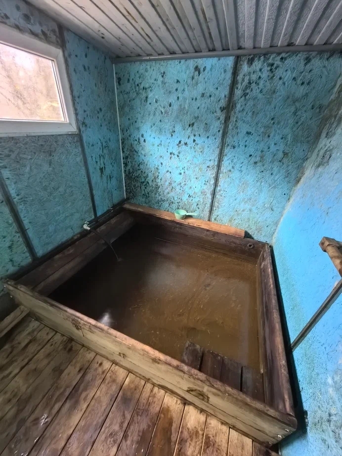 ����� �����