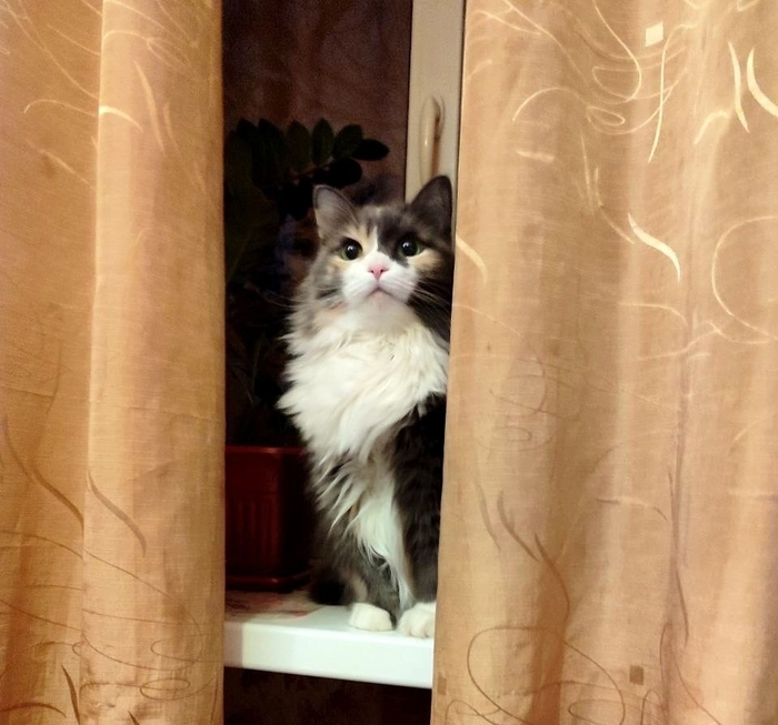 ����� ���� ����������� ��-�� �����