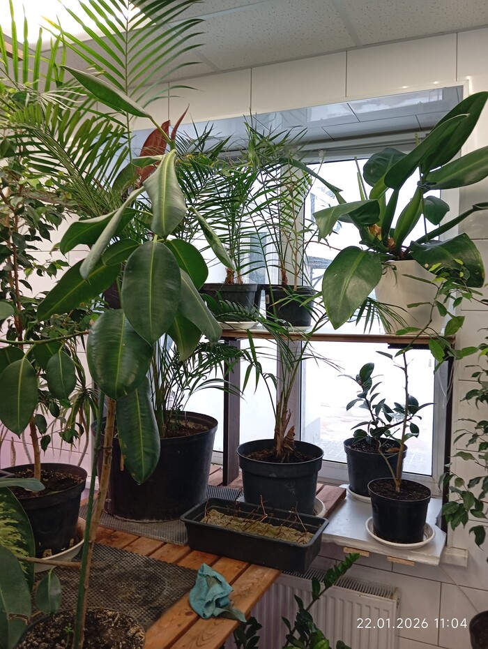 ����� �������: ����� �������� �� ���� ����������, ��������������� ���������� ��� ������ �����, �����; �� ����� � ������, ����������� ��.