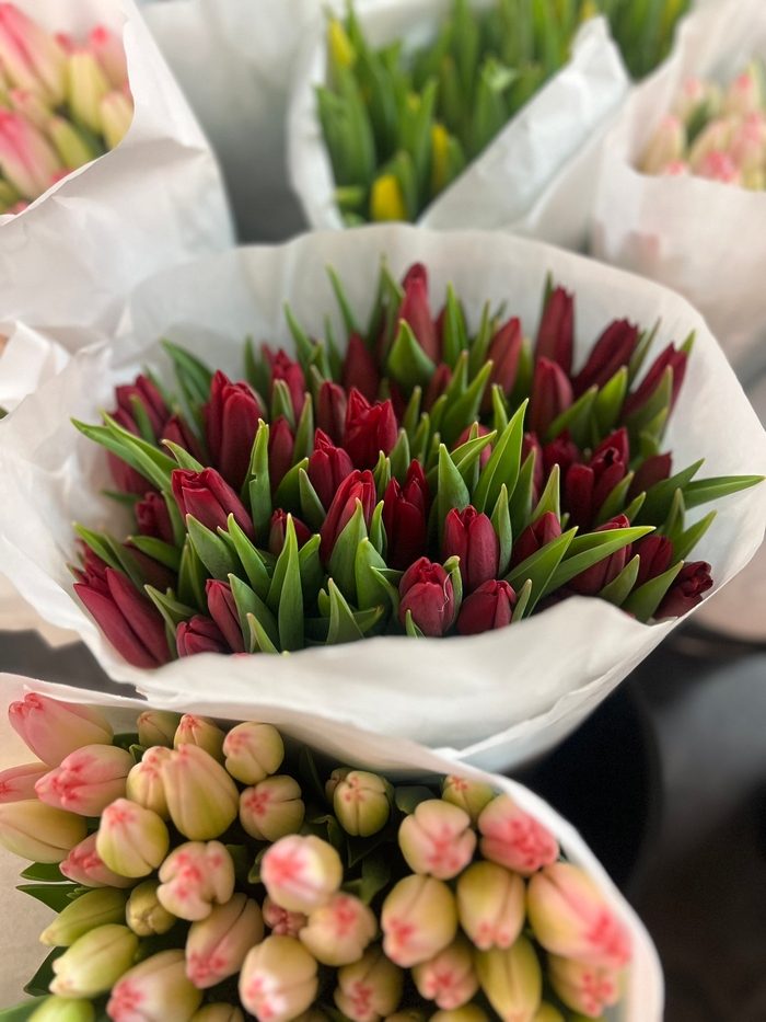 �������� ��������� ��������� � ��������� ����� � �������� ������