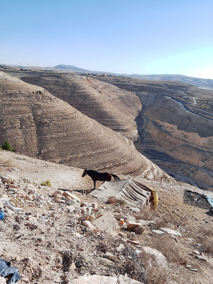 �������, ������� ����� �� ����� (����)