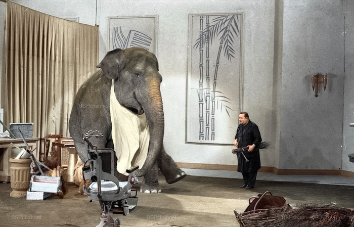 ��������: ����� �����-�����������