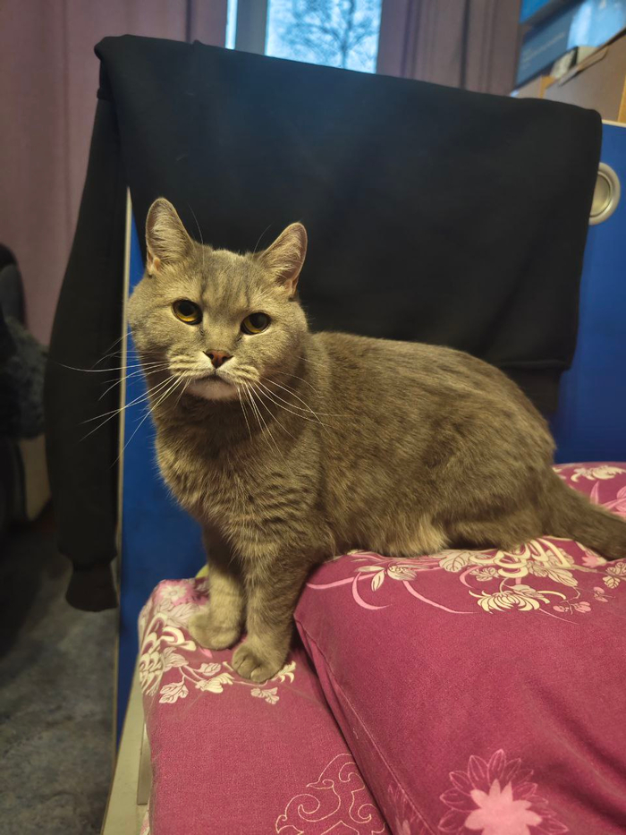 ��������� - �����, ����� ��� �����