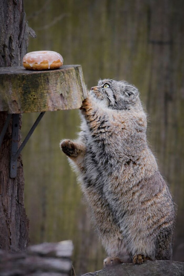 ��� ���?