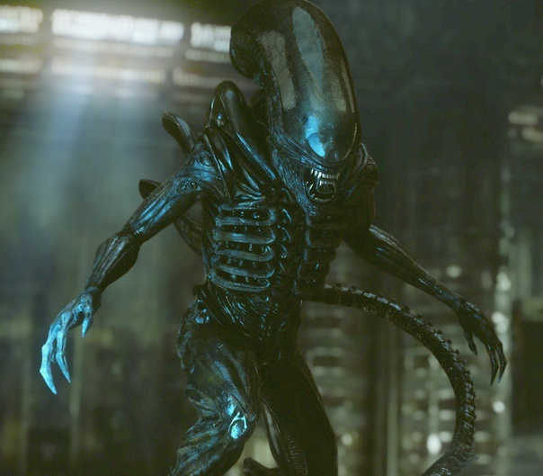 ���������� - ������������ ���� ����� �� �������