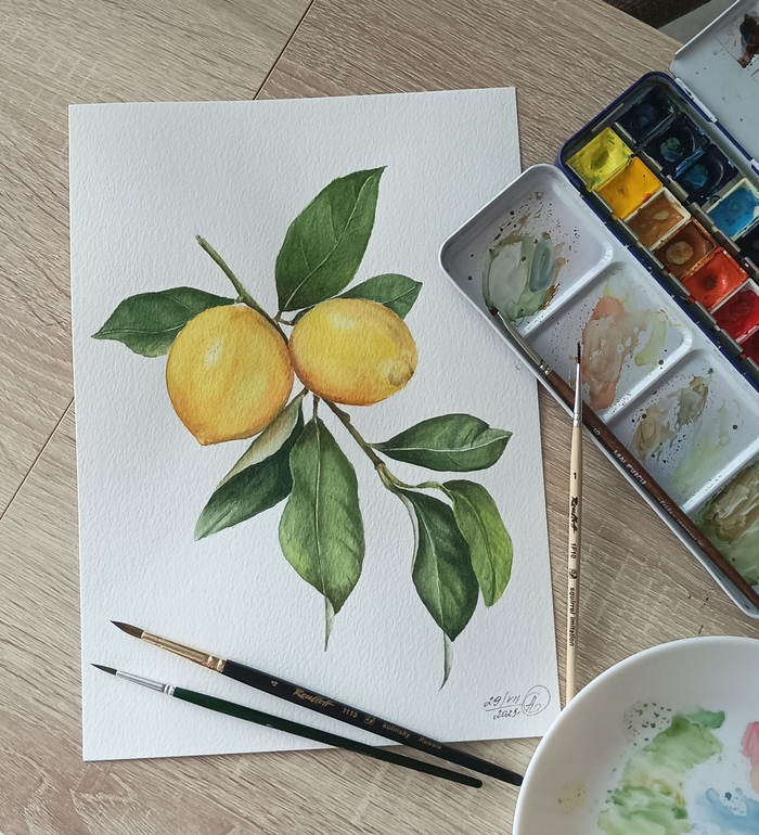 ������� ������ ���������� ��� � �������-��������� �����������)