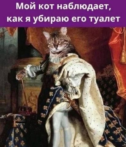 ������ ��� ���, ������ ����������� ��� ���