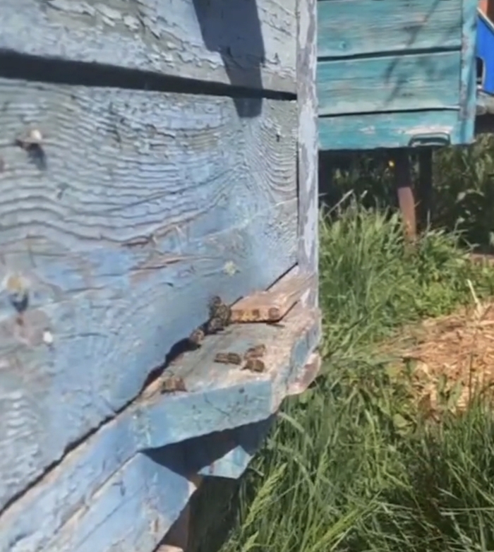 ���� ������� �����. ��� ���� �� ������, � �������. � ������ ���� �����