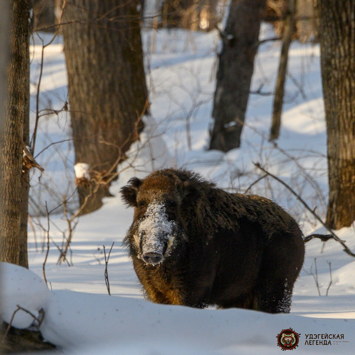 ���� ������, �������� ������� � � ������ ������� �����������