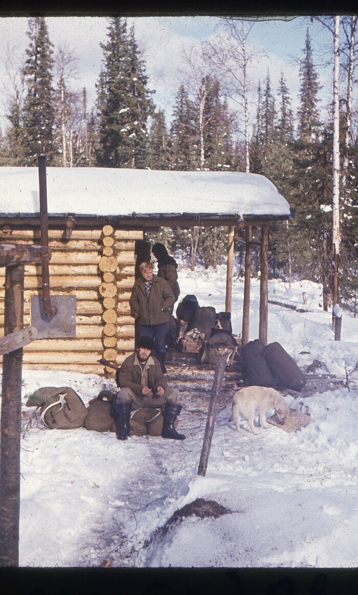 ������ ����, ���������� ���������!