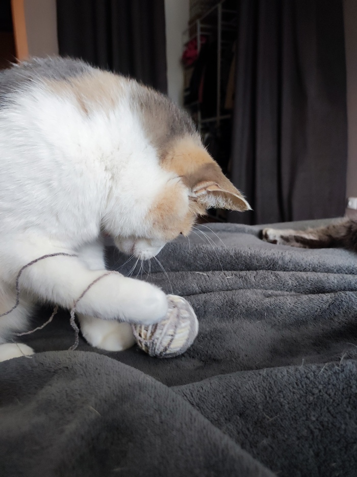 �� ��� ��� ������� �� ������,�?