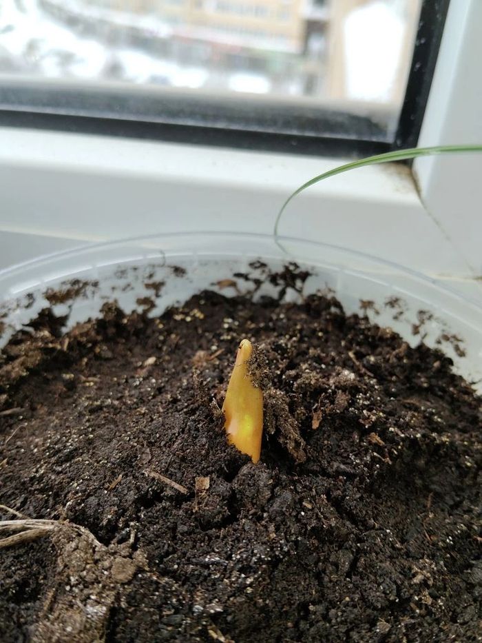 � ��� ���� ������� ��� ������� ��������� - ����� ��-��� ����� ����� ������.