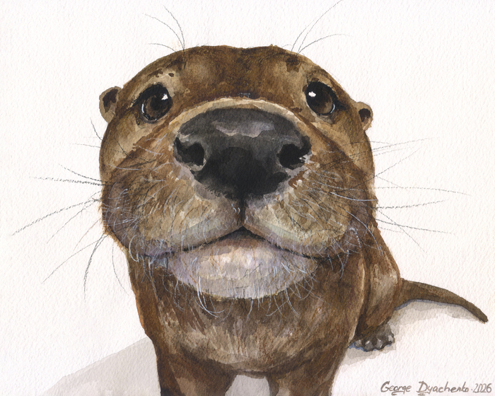 ������� ����� ����� ���������. 2026 ���. ������� ��� ���������� :)