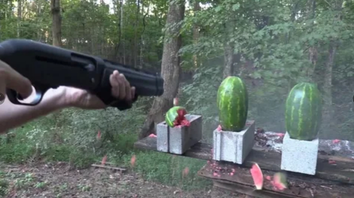 Ответ на пост «Веганы»