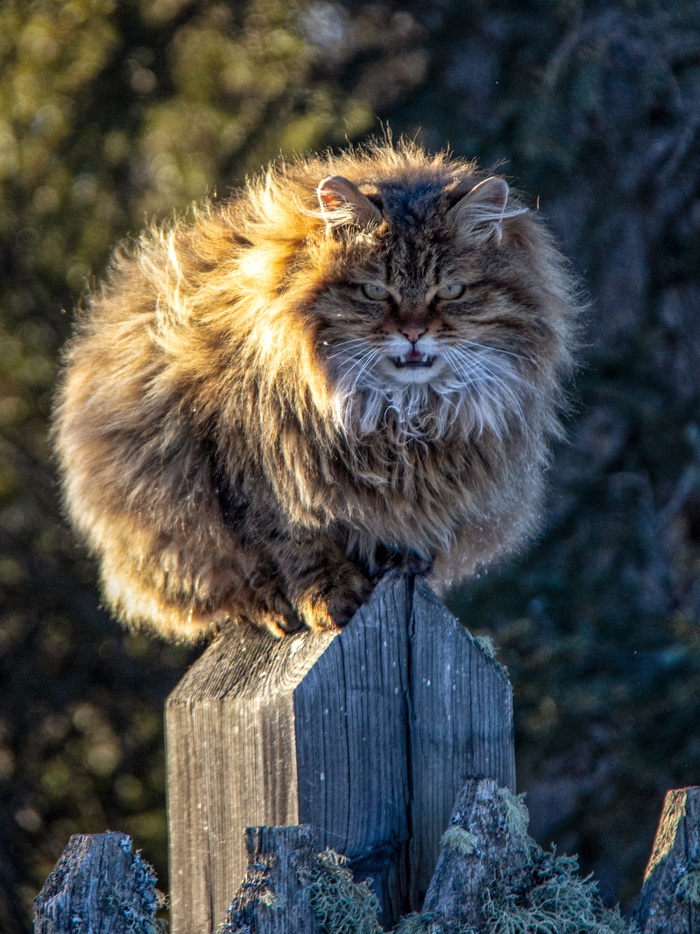 ���� ����������� �� ������ 