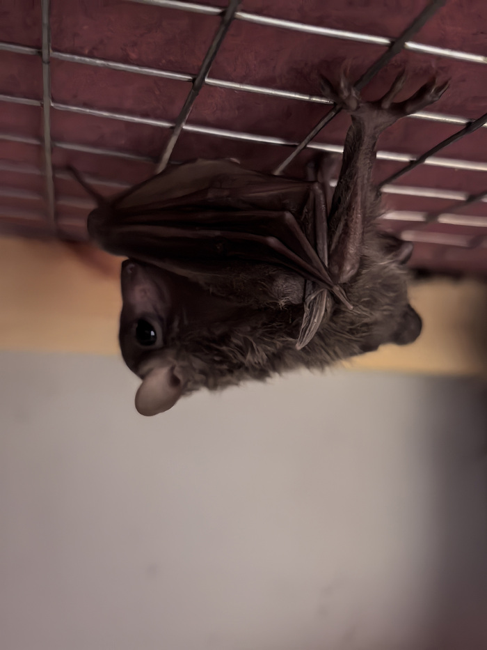 �����������. ���! ��� �����, ���������! �������� � ������������ �����, � ��� ��������������! 😱