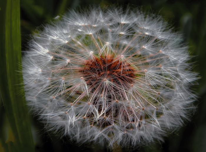 �������� � ������� �������.