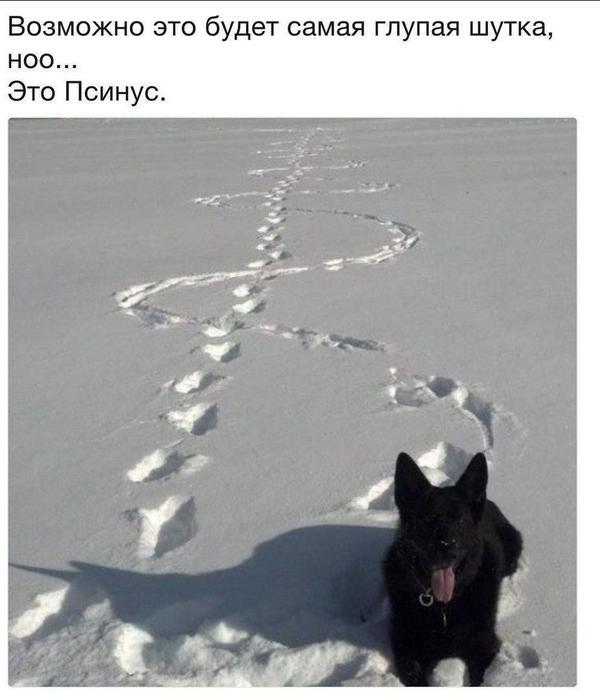 ����������...